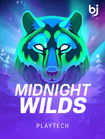 Midnight Wilds game screenshot